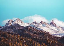 开云体育平台-【国王杯】武磊造红普阿多制胜 西班牙人加时1比0