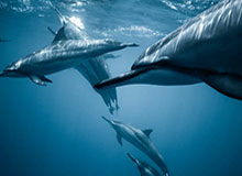 开云体育入口-同样是二队出征足协杯 国安青年军令恒大上港汗颜